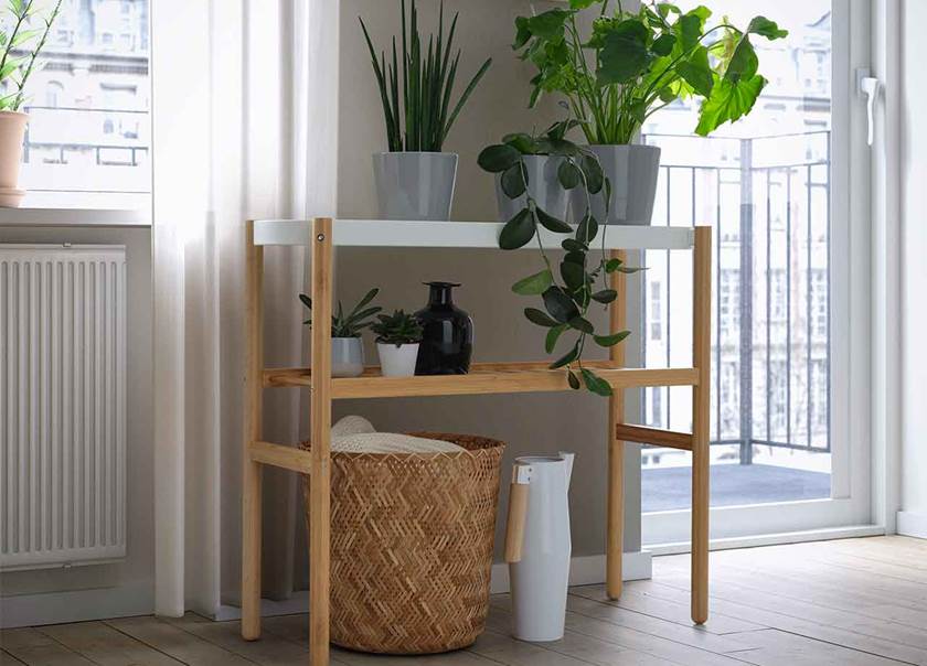 Wooden stand with plants