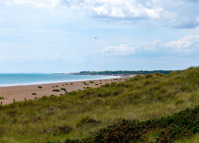 Beach landscape sunny day.