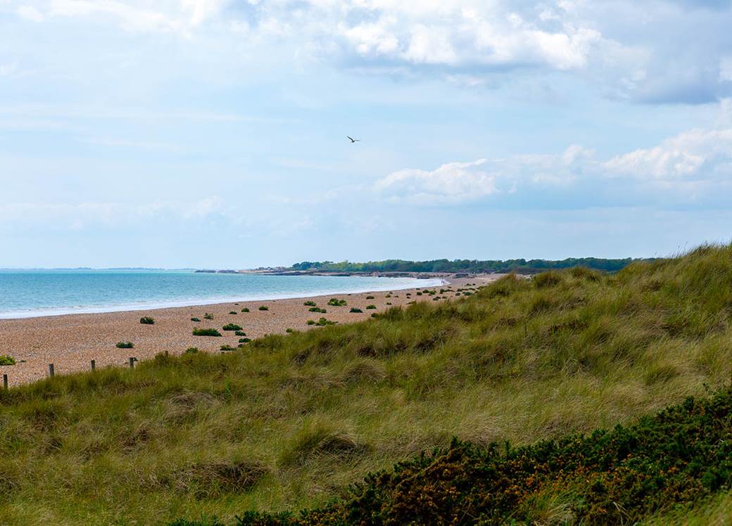 Beach landscape.